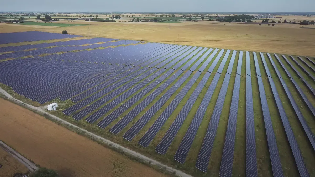 PNG Solar, JinkoSolar ve LONGi: Güneş Paneli Tedarikçisi Karşılaştırması